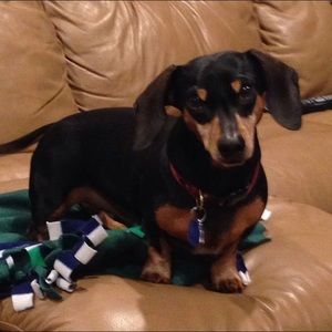 Meet your Posher, Kelly